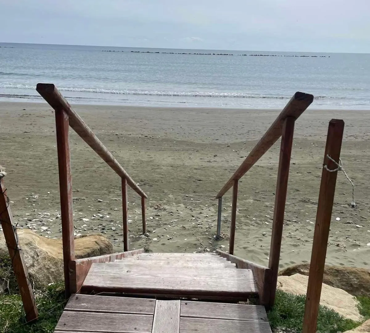 Mariliz Daire Larnaca