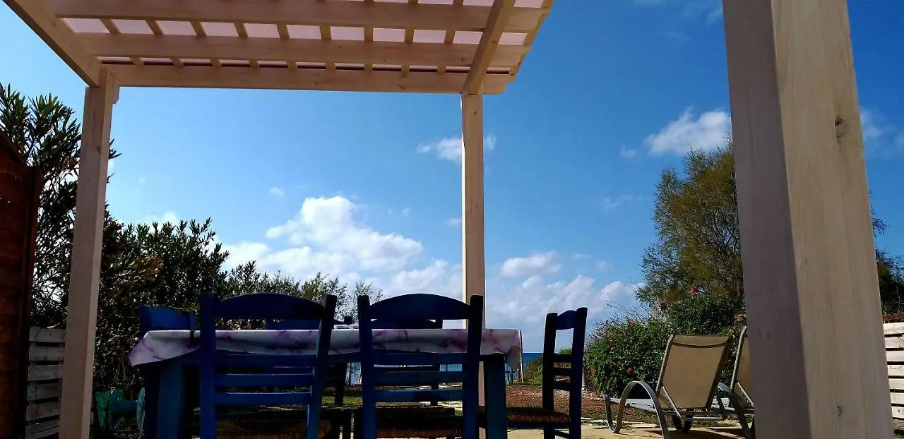 Mariliz Daire Larnaca Kıbrıs